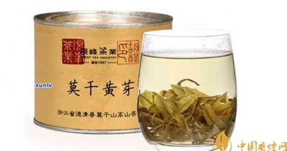 干黄芽属于什么茶-干黄芽属于什么茶类