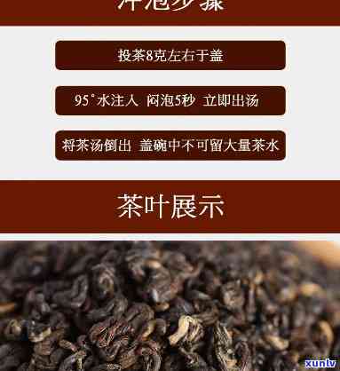 泉城红螺茶是什么茶-泉城红螺什么价格