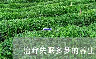 什么茶可以有效治疗失眠多梦？探讨多种茶叶对改善睡眠的作用