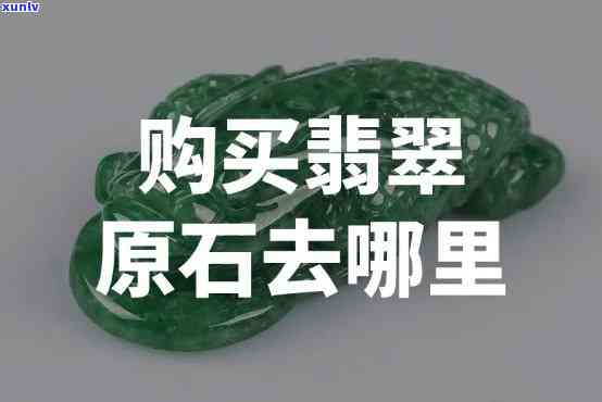 云南普洱茶：七子饼的由来及其独特魅力