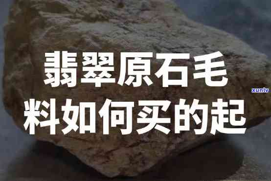 原石玉石毛料哪里买，寻找优质原石玉石毛料？这里提供购买渠道！