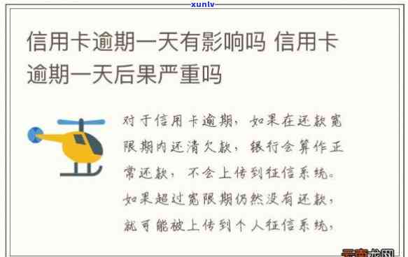 探索香妃柚的口感：从香气到味道，全方位解读这种独特水果的各种感官体验