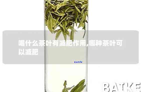 肥胖者喝什么茶，瘦身良品：肥胖者最适合饮用的茶叶推荐