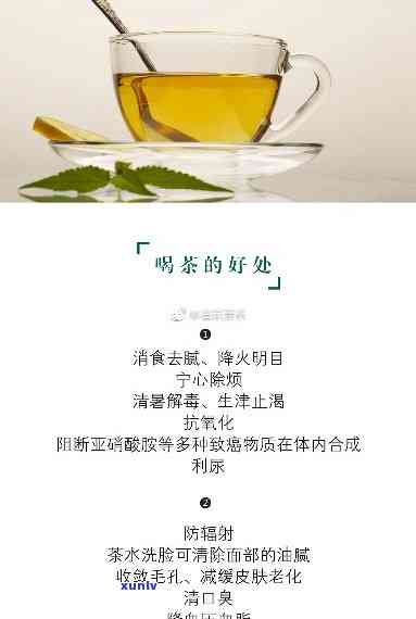 低血压高喝什么茶好一点？女性适用的方案