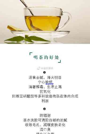 低血压高喝什么茶好-低血压高喝什么茶好的快