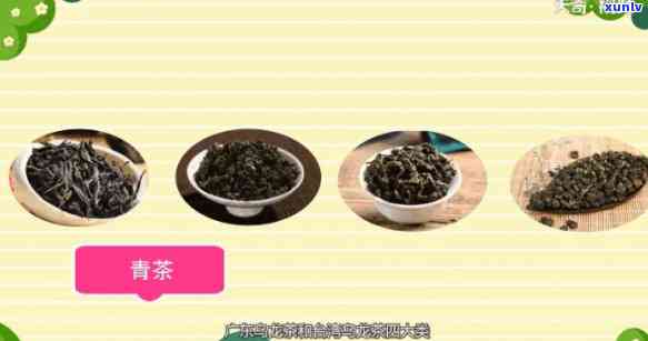 小茶是什么茶？详解其种类与特点