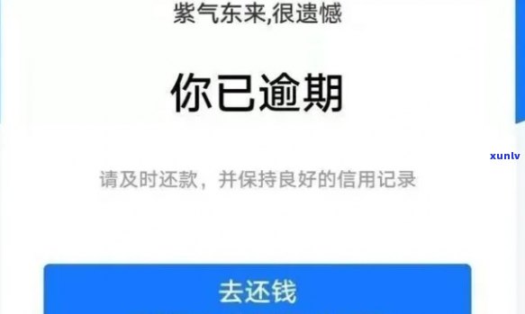 还款逾期了怎么办之一时间要做的是这件事!，还款逾期后，你应立即采用这一行动！