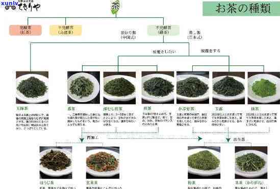 出产什么茶？详解主要茶叶品种及其产量