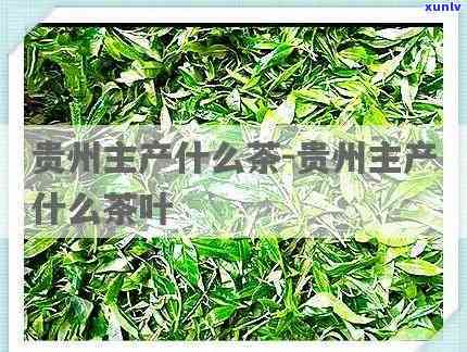 贵州的什么茶最出名？探寻贵州名优茶叶！