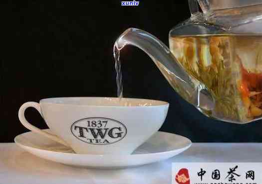 西壶适合泡什么茶，探讨西壶的泡茶适宜性：适合哪些茶叶？