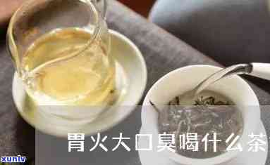 肠胃火大喝什么茶好？专业解答帮你选！