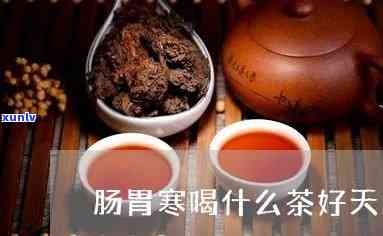 胃寒天喝什么茶好-胃寒天喝什么茶好呢