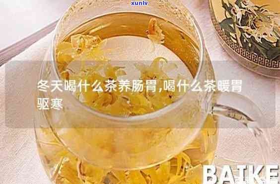 胃寒天喝什么茶好-胃寒天喝什么茶好呢