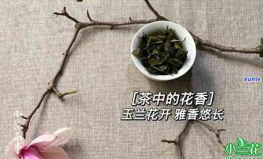 花香占属于什么茶-花香占属于什么茶类