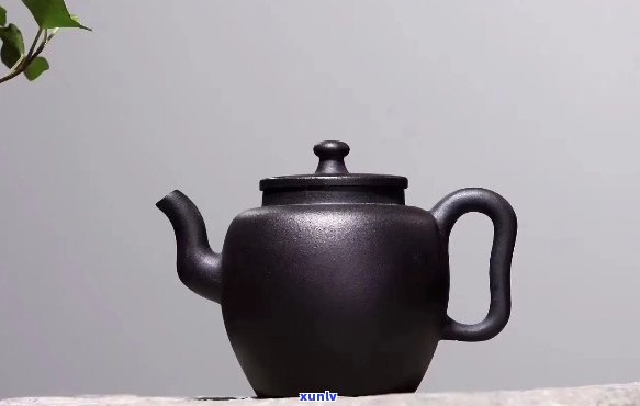 绿泥壶适合泡什么茶叶？探讨搭配