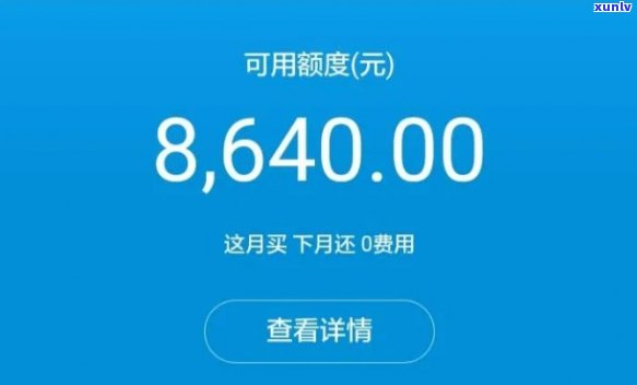 支付宝花呗半年未还，现在还款还需多少？能否继续采用？解决  