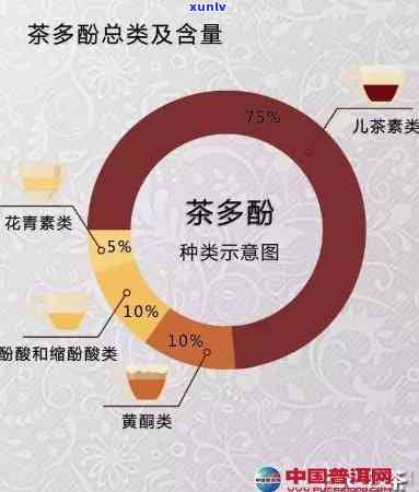 什么茶都含茶多酚吗？了解茶多酚在茶叶中的普遍存在