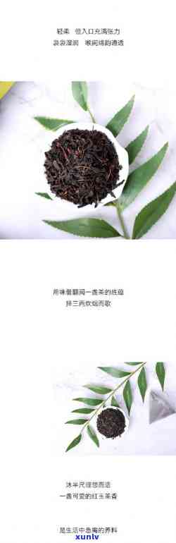 红玉茗茶是什么茶吗-红玉茗茶百度百科