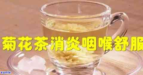 嗓子咽炎喝什么茶好一点，喉咙疼？试试这些去火茶，缓解咽炎不适感！