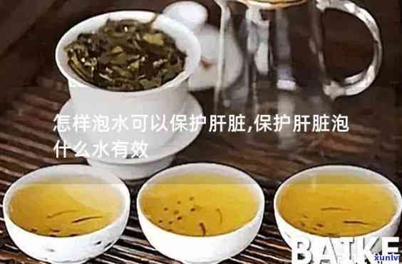 肝不好泡什么茶调理-肝不好泡什么茶调理