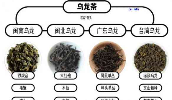 什么茶需要茶水分离喝？绿茶、乌龙茶和白茶必须分离泡饮