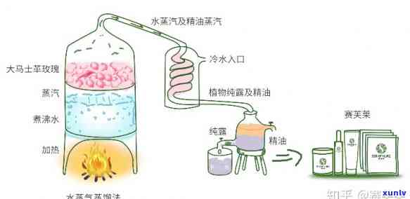 什么茶需要蒸馏或者煮，探讨茶叶 *** 工艺：哪些茶需要进行蒸馏或煮制？