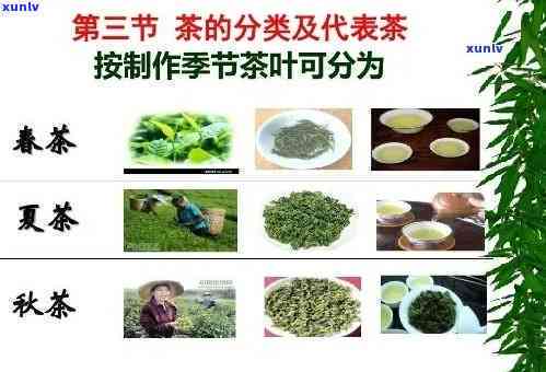 什么茶需要茶水分离-什么茶需要茶水分离才能喝