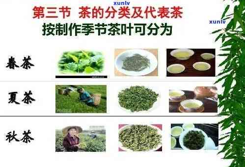 什么茶适合茶水分离-什么茶适合茶水分离喝