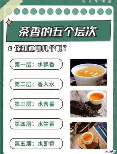 茶为何无茶香、味？揭开谜团