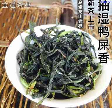 凤凰乌岽茶是什么茶，揭秘凤凰乌岽茶：了解这种独特的茶叶品种