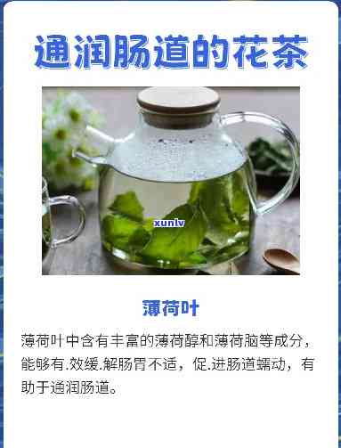 喝高山云雾茶：好处与坏处全解析