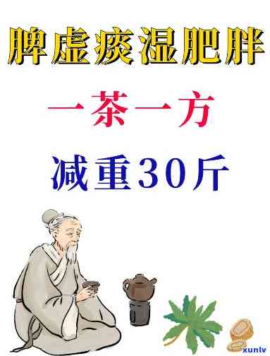 对比八马普洱茶系列，哪款茶叶口感更佳？详解各种口味特点与选购建议