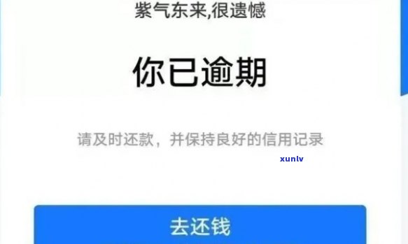 民生信用卡逾期走流程：影响、处理及停卡时间