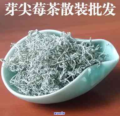 芽尖莓茶属于什么茶-芽尖莓茶属于什么茶类