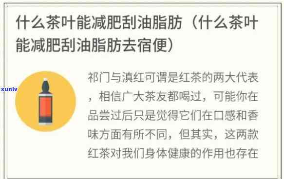 喝什么茶清脂效果好一些，探讨清脂效果好的茶叶，让你轻松瘦身！