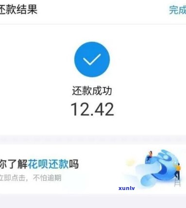 陈升号至尊班章价格及评价：2017 *** 版、2020年老班章与生态茶对比分析