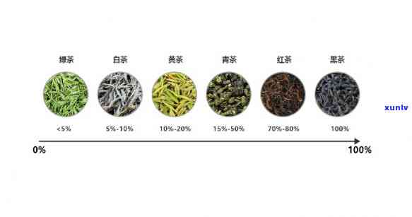 哪种茶口感清香甜，探索口感清香甜的茶叶种类