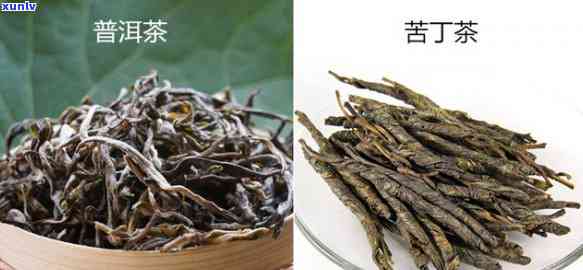 什么茶很苦？不是苦丁茶，喝完却有甜蜜感觉