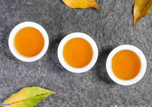 什么节适合喝什么茶？春宜绿茶、红茶、秋乌龙茶、冬普洱茶。