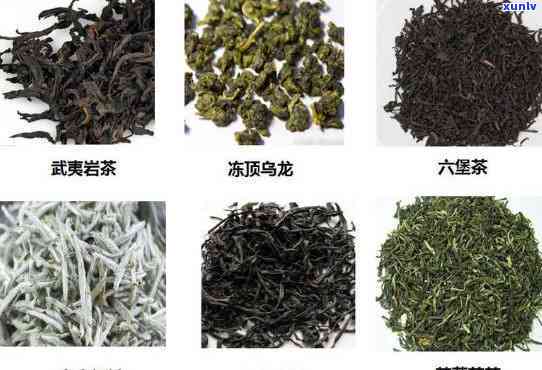 高山茗茶：究竟属于哪一类？详解其品种与特点