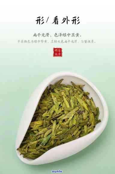 碧芽春茶：属于什么茶类？类型揭秘