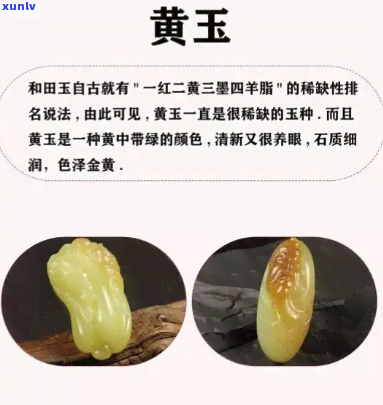 唐料玉石价值高吗？探讨其价格与收藏价值