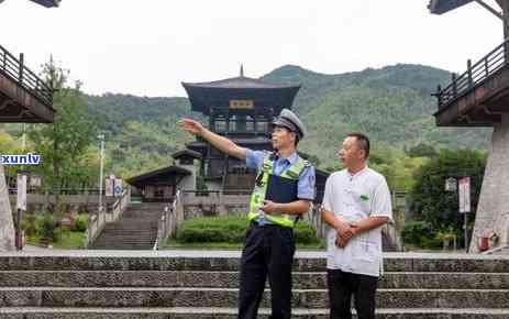 武当贡茶是什么茶圣，探寻茶圣之谜：武当贡茶的来历与故事