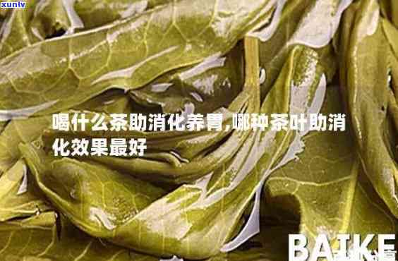 晚饭后喝什么茶有助于消化？全面解析茶叶对消化系统的益处