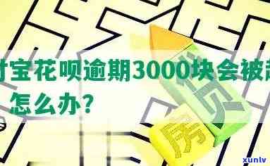 花呗3000逾期半年会有什么后果？