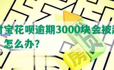 花呗3000不还：结果严重，逾期金额达到立案标准？