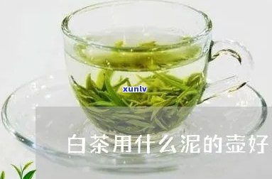 白泥壶适合泡什么茶叶？选择适合你的茶品