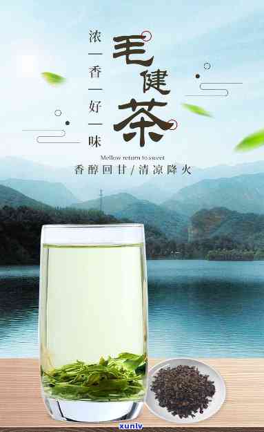 山西毛健茶属什么茶-山西毛健茶属什么茶种类