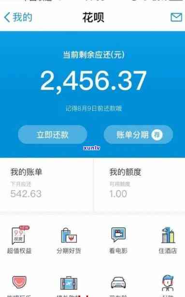 花呗欠款6000多逾期半年是否会面临法院起诉?