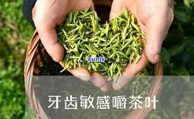 喝什么茶对牙齿不好？对牙齿有益的茶有哪些？